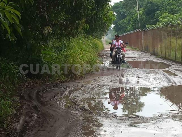 Rehabilitan Caminos De La Zona Baja