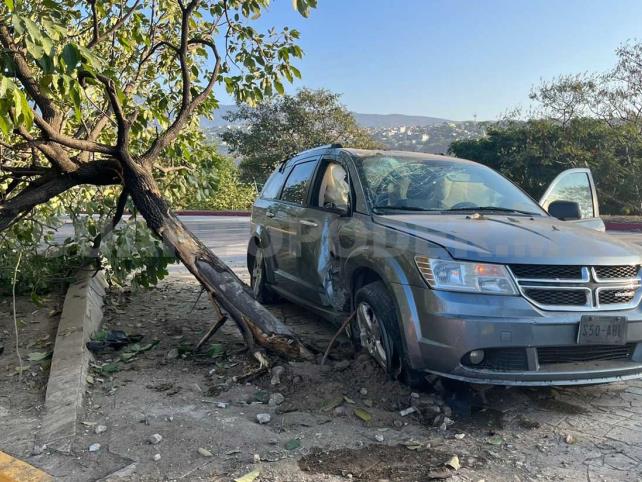 Se estrella contra un árbol al perder el control