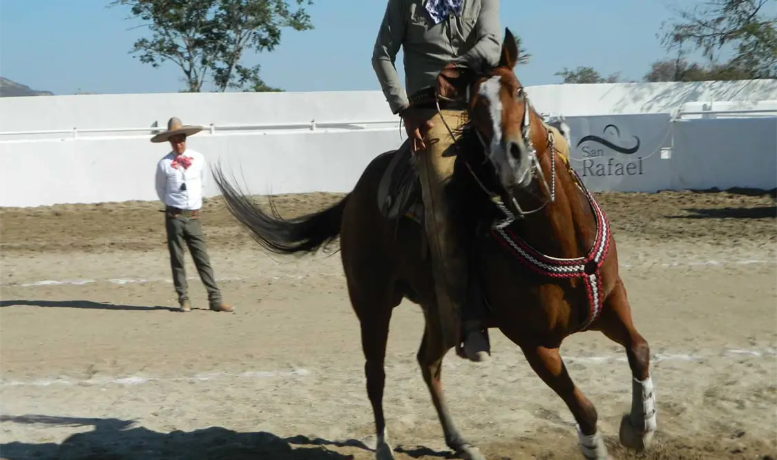 Santa Teresa finalista en San Rafael