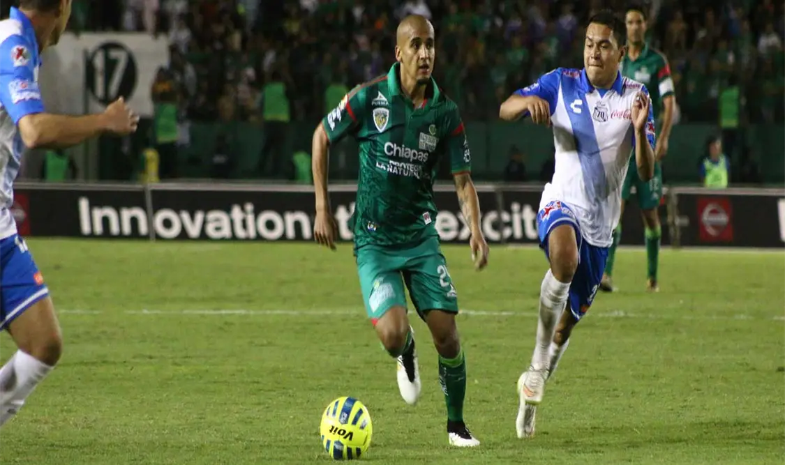 Felinos, fuertes en casa