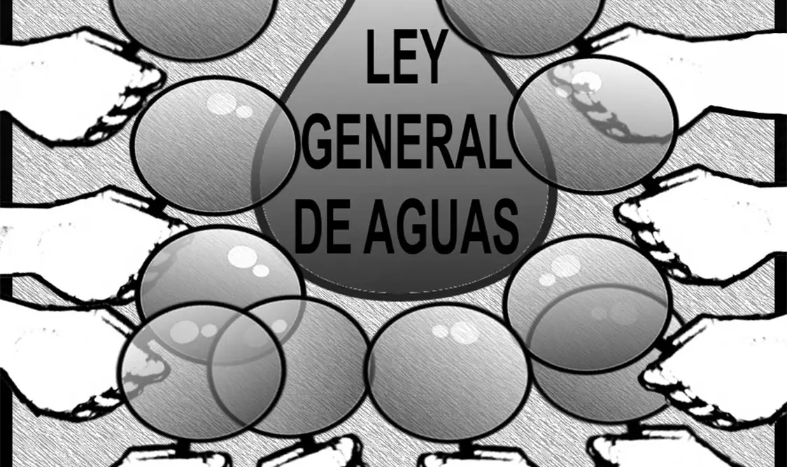Consulta