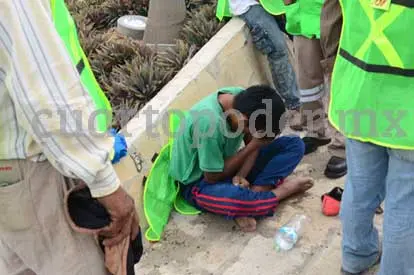 Se electrocuta por palmera “eléctrica”
