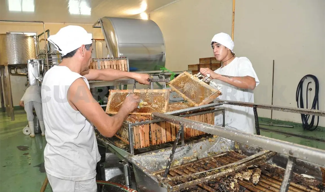 Necesario elevar consumo de miel entre la población