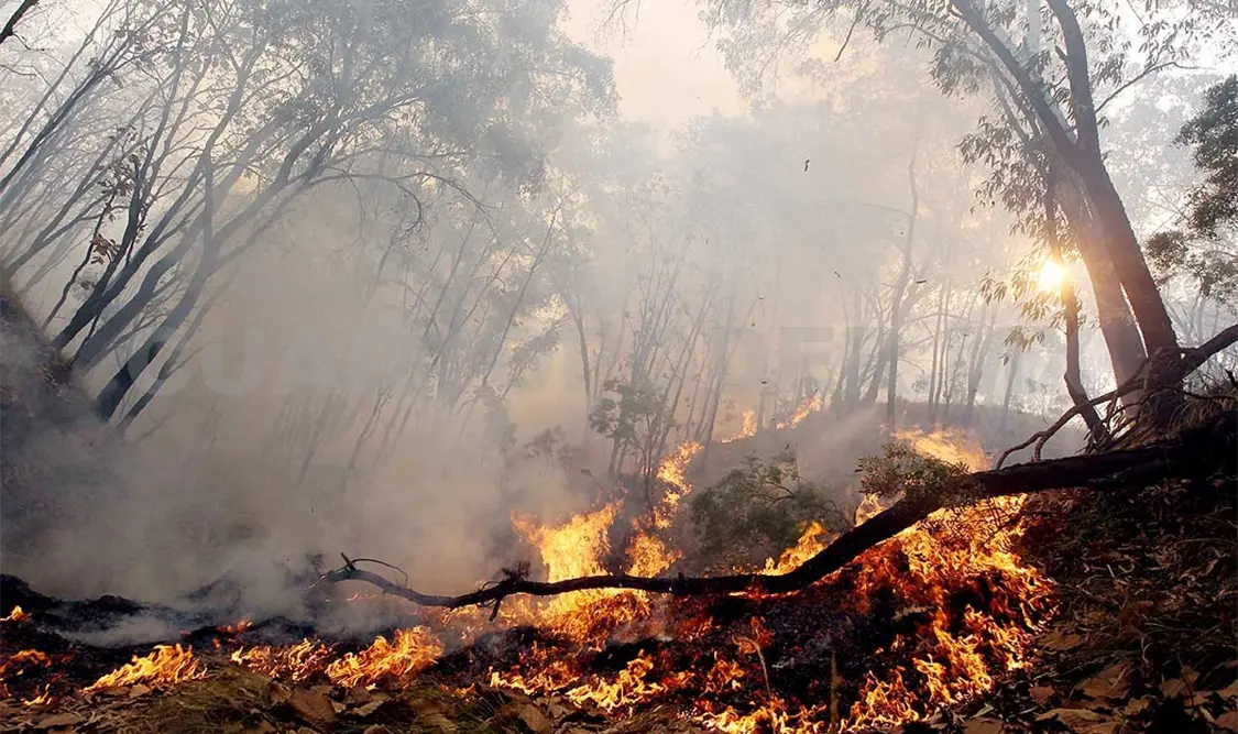 Piden atender situación climática