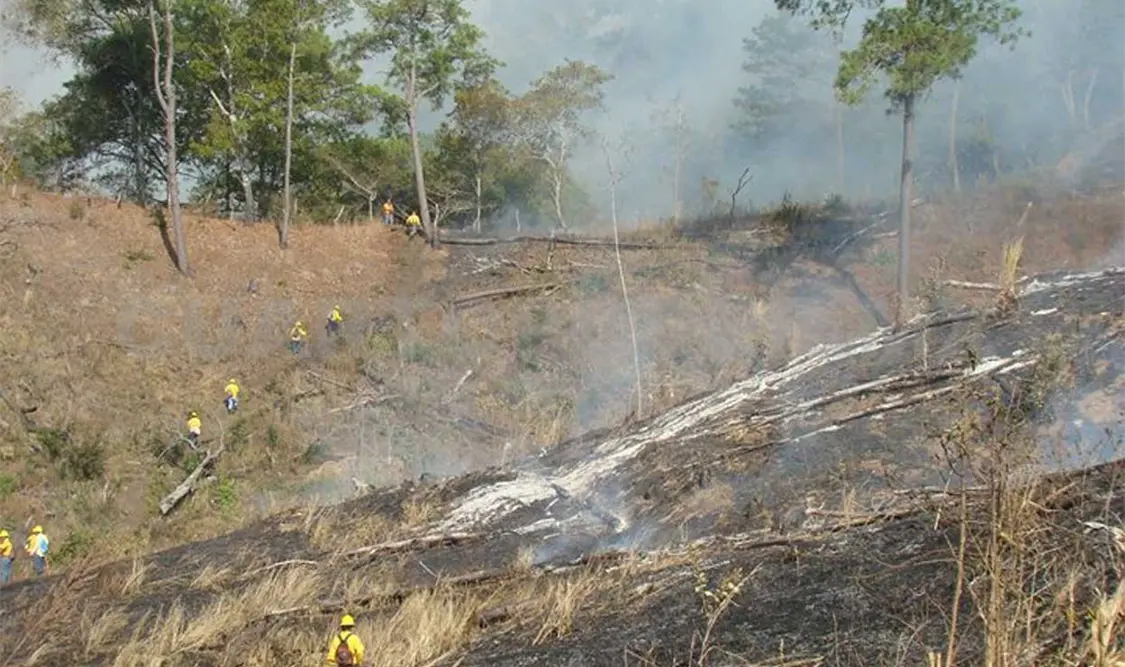 Peligra La Frailescana por incendios forestales
