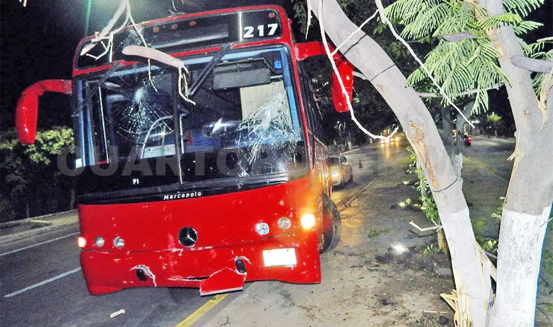 Autobús impacta contra árbol