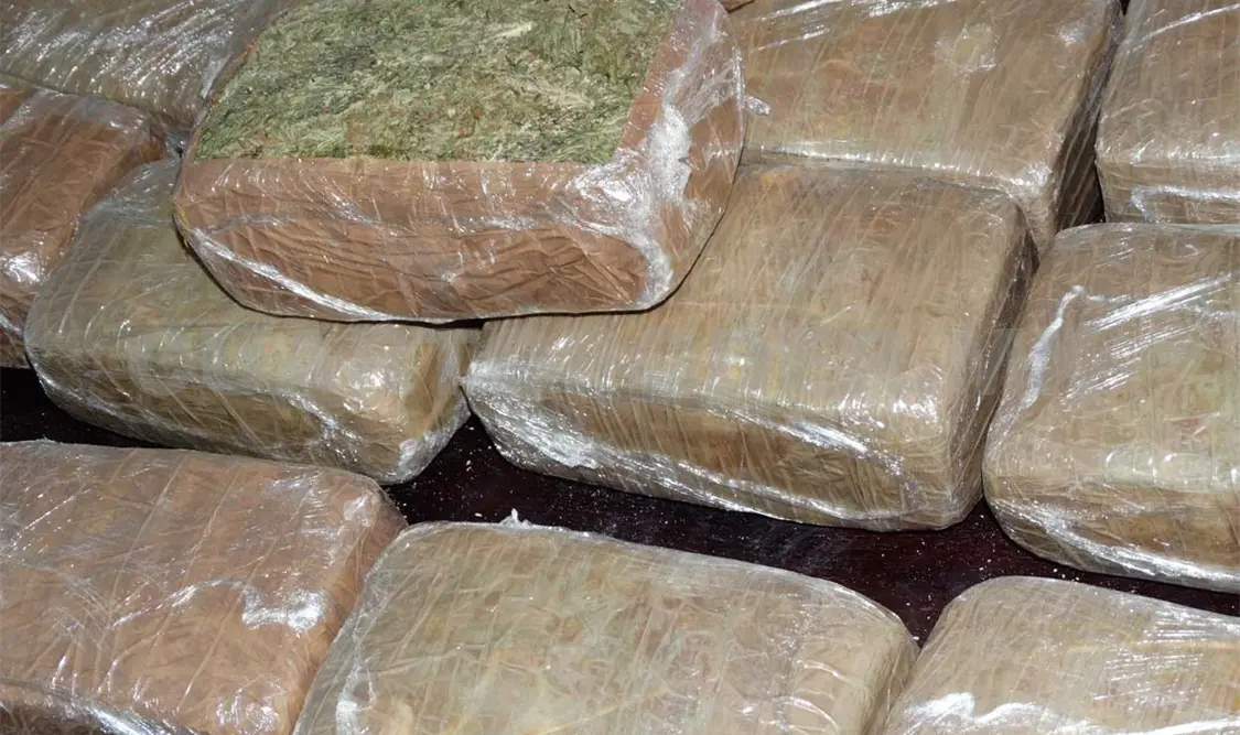 Prisión a tres “burreros” con marihuana