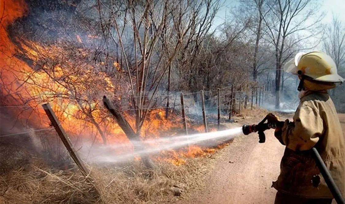 Hectáreas de bosque, afectadas por fuego