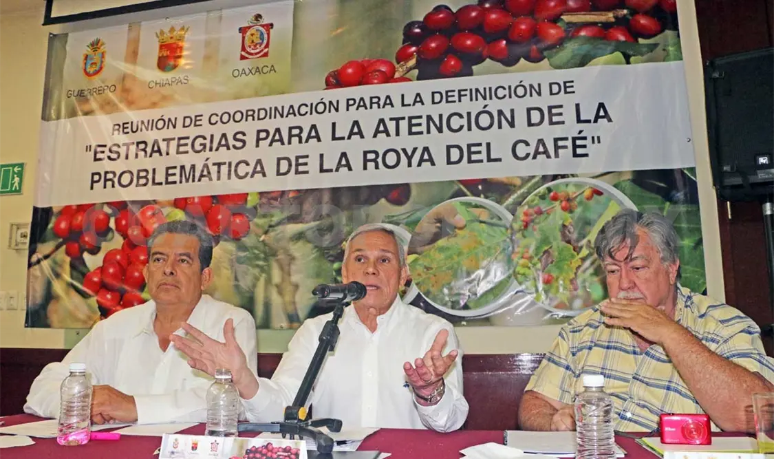Chiapas, Guerrero y Oaxaca piden declaratoria por roya