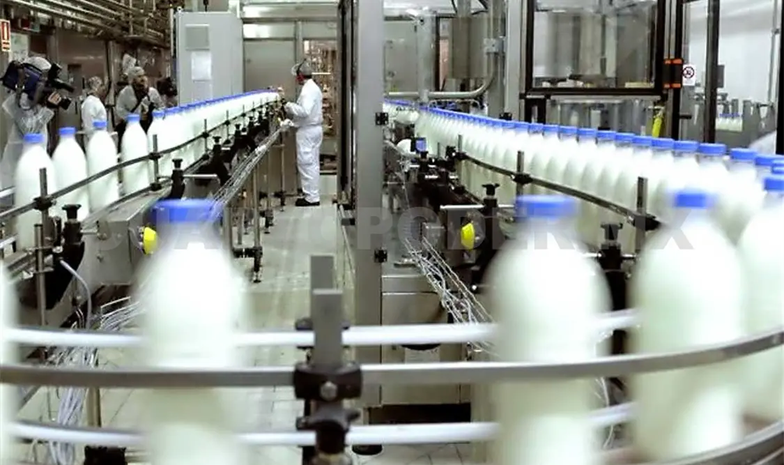 Industriales de leche buscan exportar a China