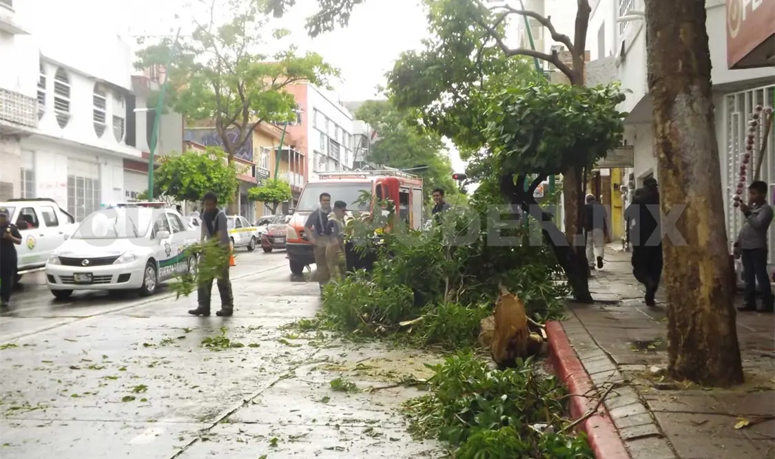 Las lluvias del pasado jueves generaron estragos en diversas colonias de la ciudad, además de la avenida Central.