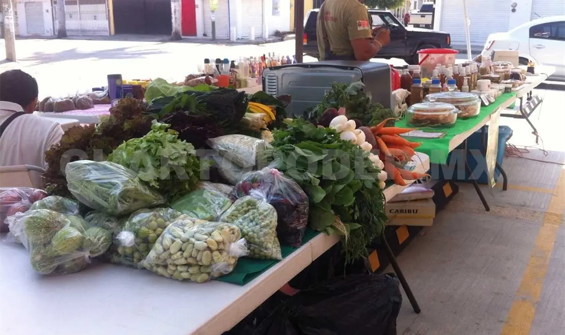 Exhortan a consumir alimentos orgánicos