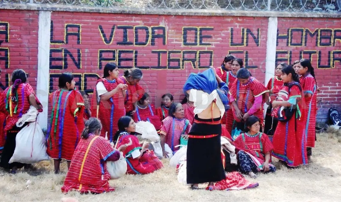 Seguimiento a lenguas maternas de Chiapas