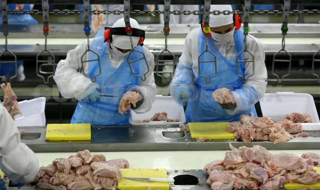 Incrementa industria alimentaria en Chiapas