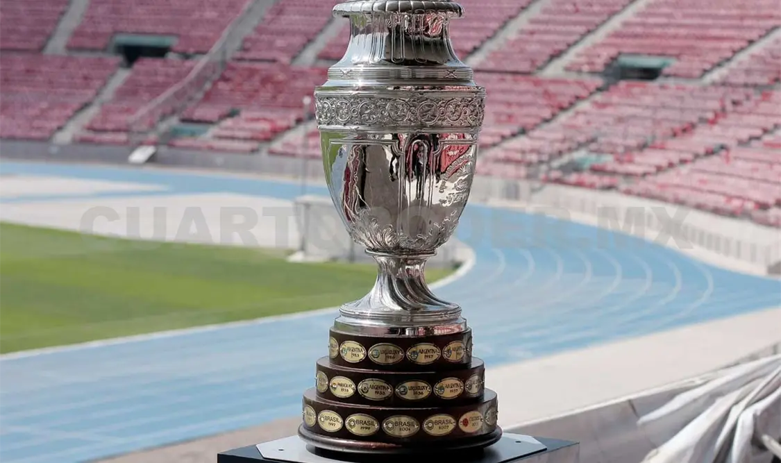 Niños podrán tocar la Copa América 2015