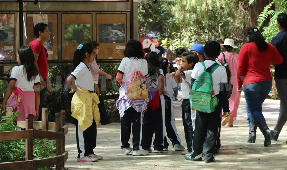 Niños de diversas escuelas visitarán las instalaciones del ZooMAT. Cortesía