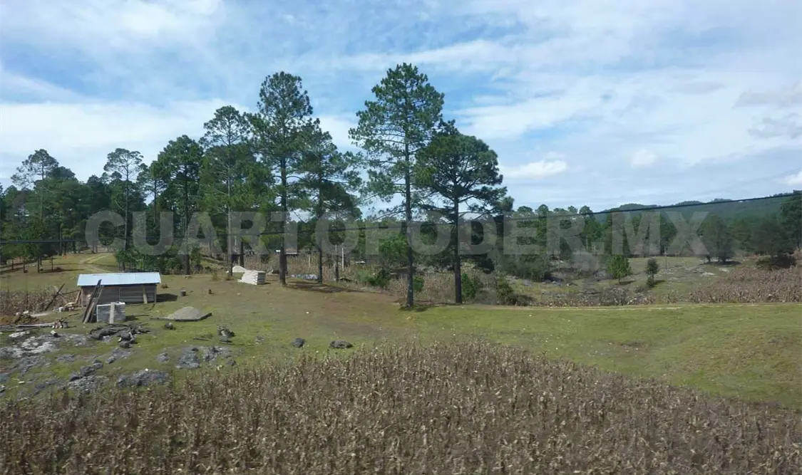 Ubican opciones de desarrollo para el campo