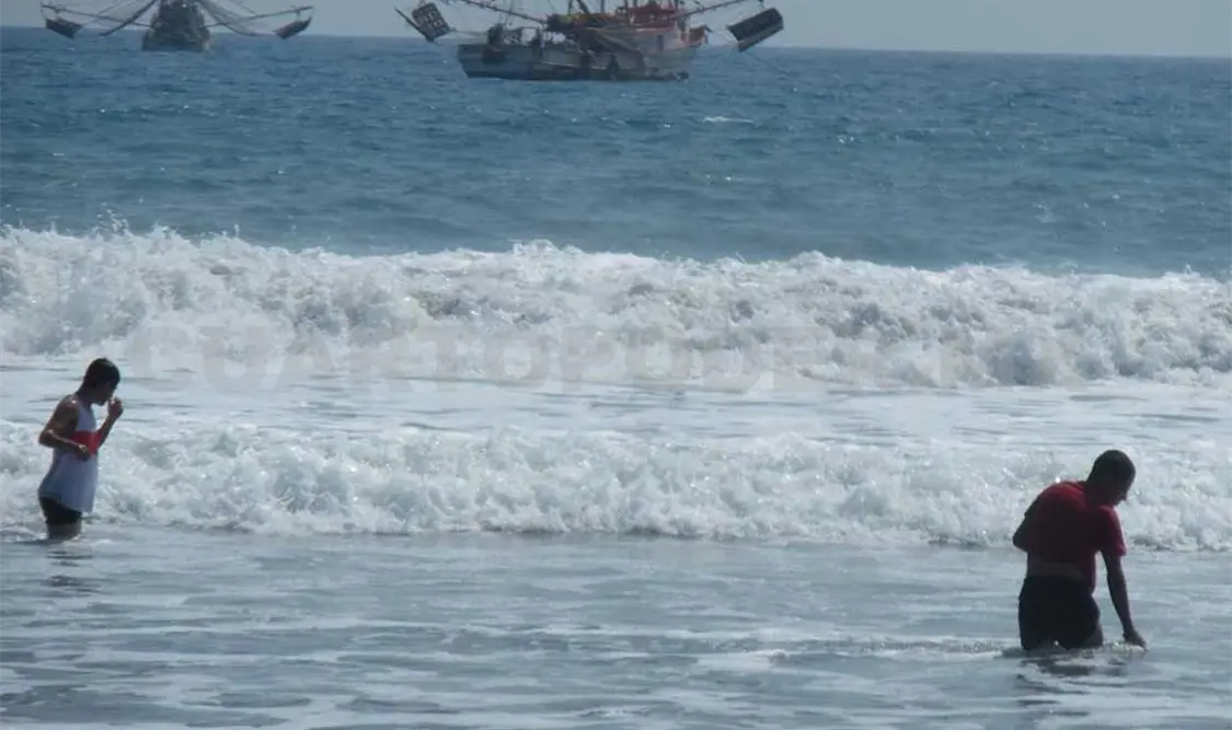 Pescadores causan muerte de tortugas
