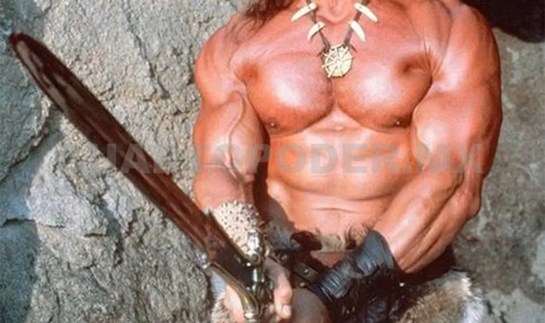 Schwarzenegger volverá a ser Conan
