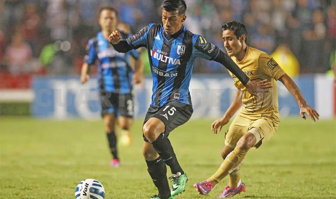 Concentrado con Gallos Blancos