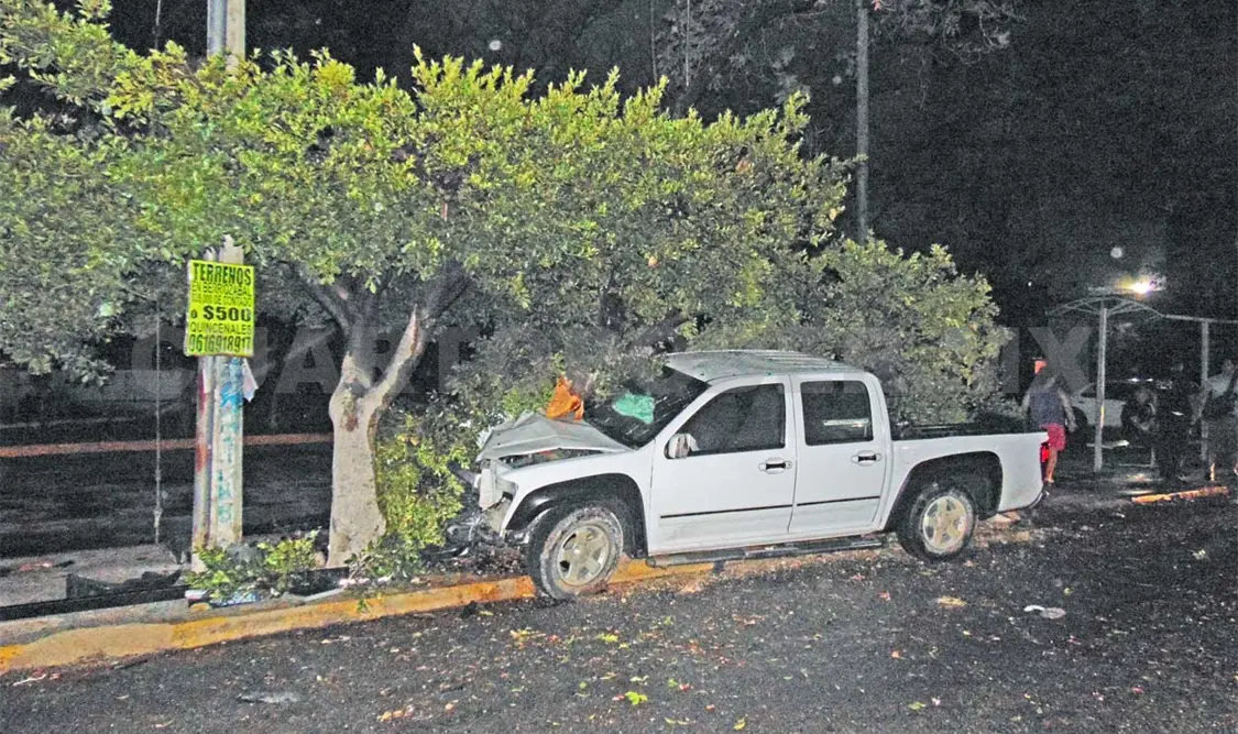 Choca contra árbol
