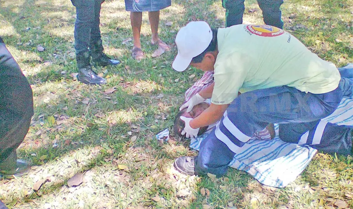 Perro ataca a un podador de árboles