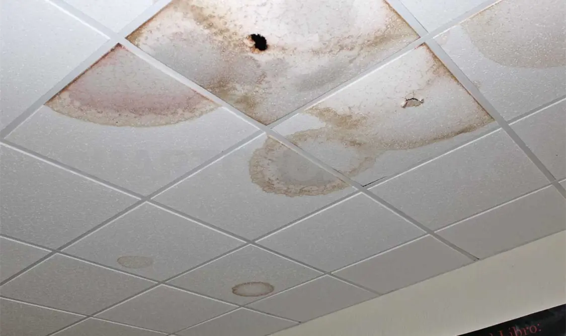 Casa de la cultura con goteras