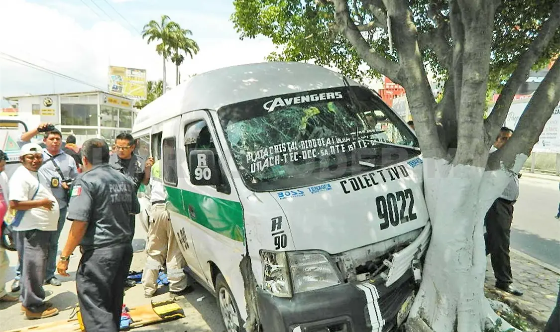 Colectivo de la R-90 se incrusta en árbol