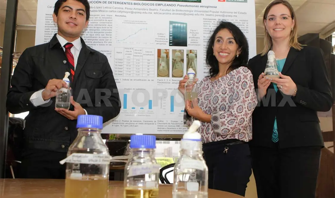 Crean detergente bioecológico