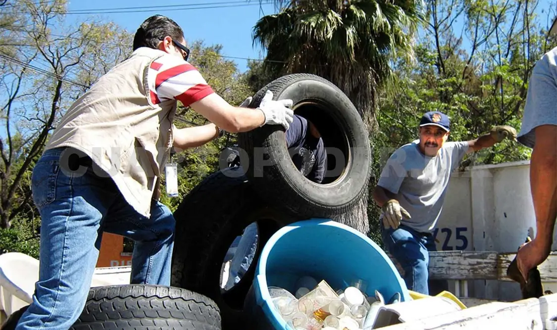 Intensifican acciones contra mosquito