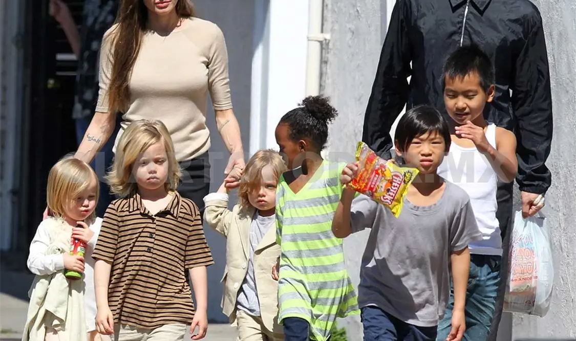 Angelina y Brad viajan en clase turista