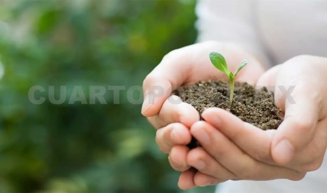 Aprueban jornada universitaria de sustentabilidad