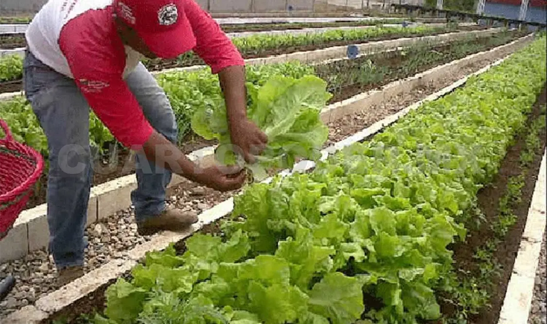 México y Cuba participan en foro sobre agricultura