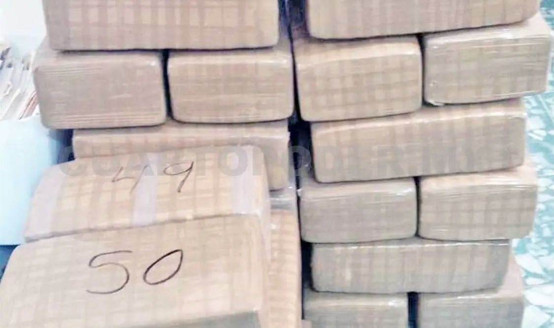 Detectan cocaína en carga de plátano