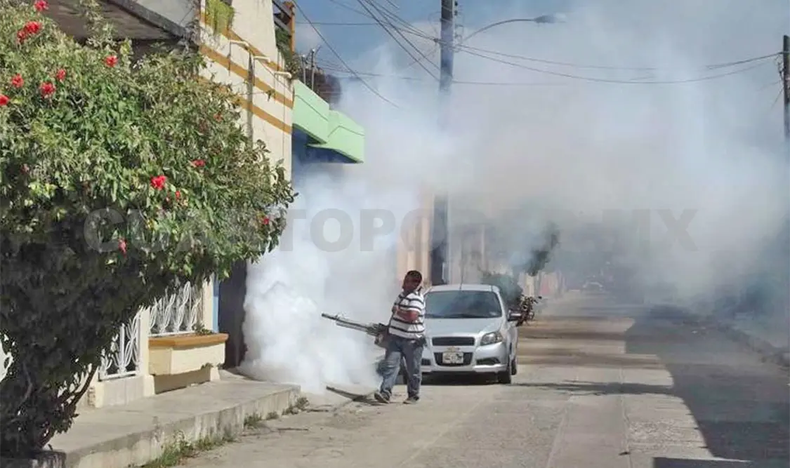 Intensifican las acciones contra el dengue y chikungunya. A. L. M. / CP