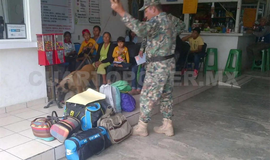 Implementa operativo Terminales Seguras