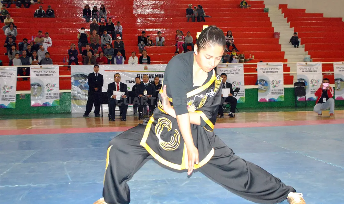 Un promedio de 90 competidores se dieron cita al Auditorio Municipal “Barón de Las Casas”. Cortesía