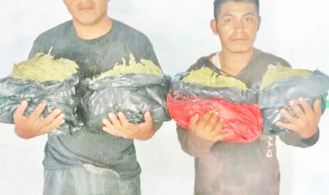 Capturan a padre e hijo con marihuana