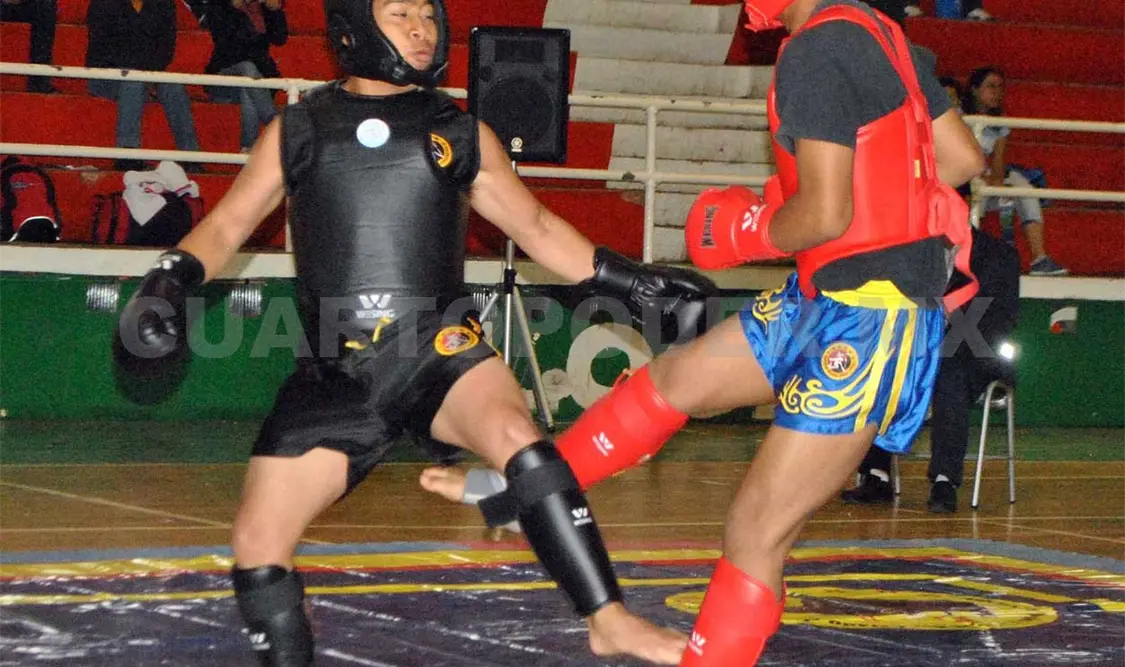 Wushu completa el equipo