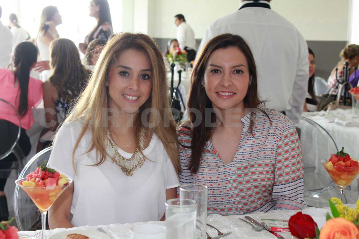Amena reunión entre amigas