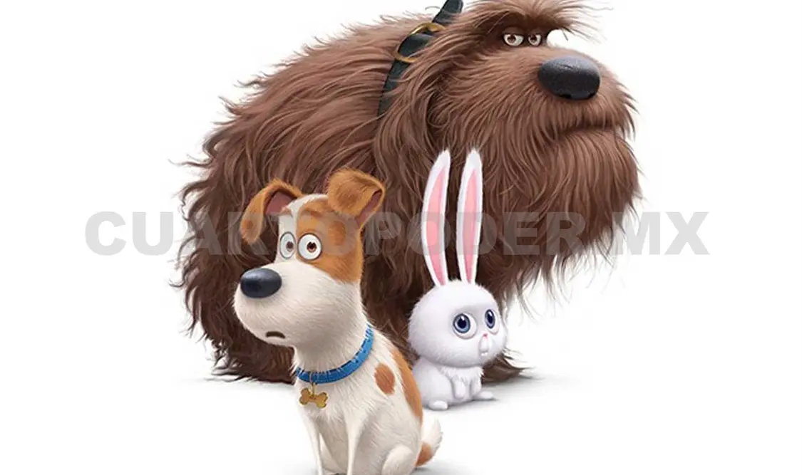 La vida secreta de tus mascotas