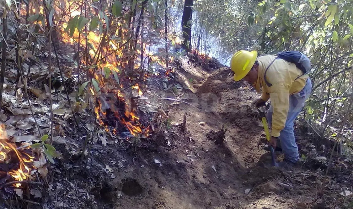 México, DF y Chiapas, entidades más afectadas. Agencias