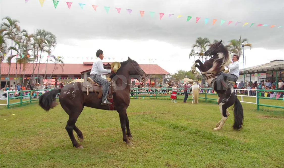 En el concurso de vaca lechera y feria del caballo hubieron diversas participaciones artisticas. CP