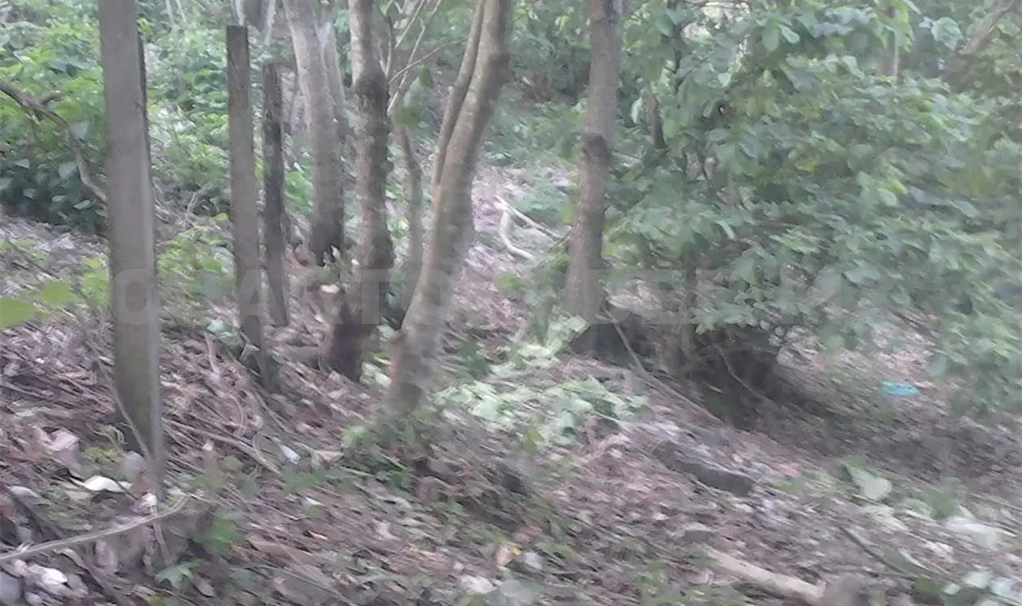 Despojan de sus tierras a evangélicos