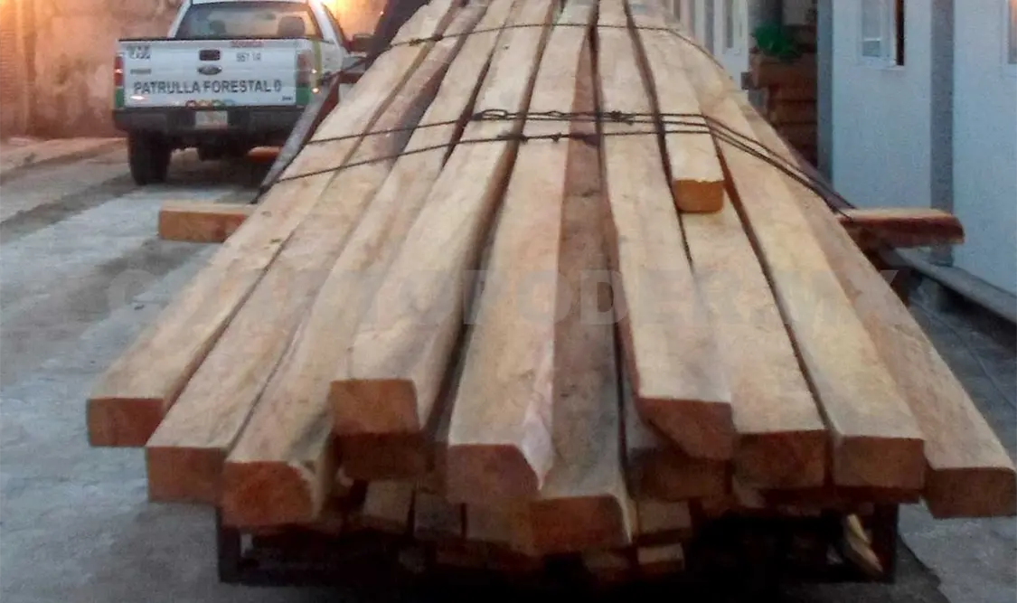 Incautan madera en Ocozocoautla