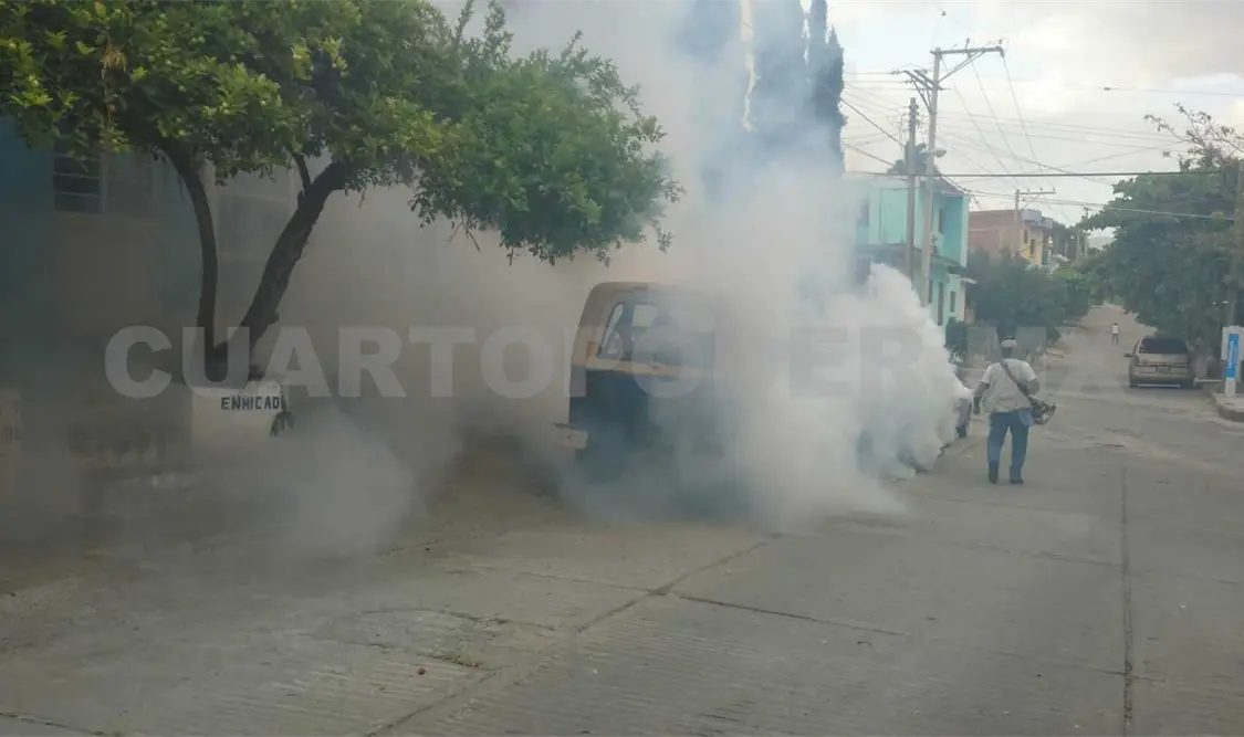 Prosigue fumigación en Tuxtla