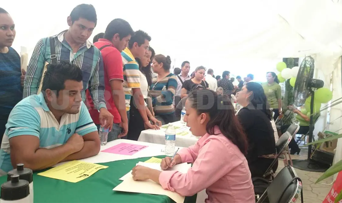 Asciende ocupación laboral