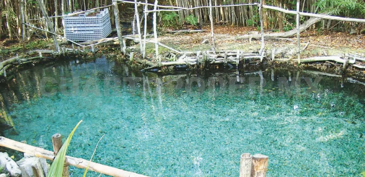 Cuencas podrían ofrecer agua para consumo humano