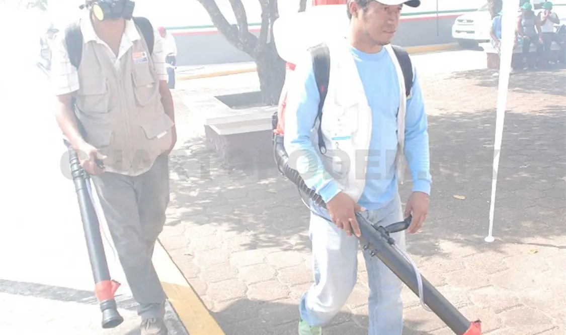 Combaten chikungunya casa por casa