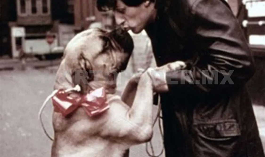 La historia más triste de Stallone